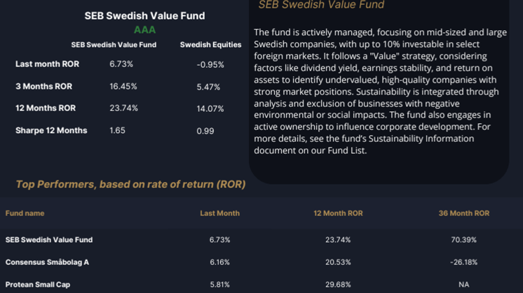 Swedish Equities Feb.pdf
