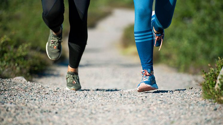 Jogg fjäll 2