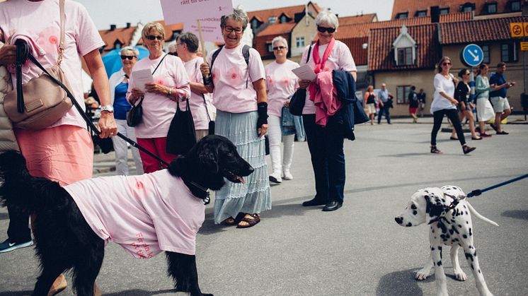 Hundarna tog ställning i Rätt till bröst