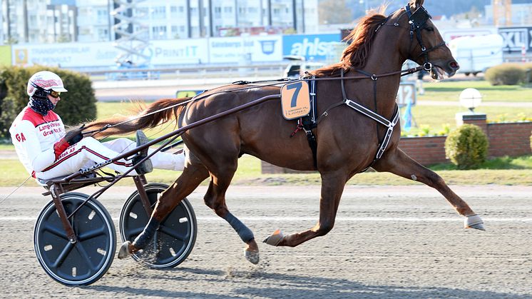 Lionel inbjuden till Elitloppet