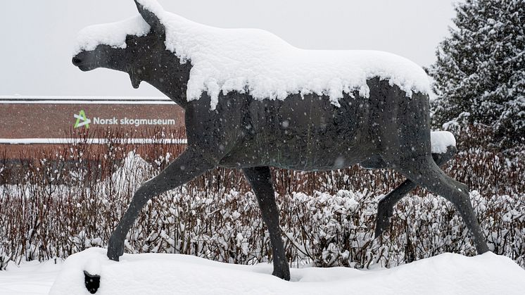 Anno museum har måttet innføre drastiske tiltak for å spare strømkostnader, og stengte tidlig i desember de to store museene i ELverum, Norsk skogmuseum og Glomdalsmuseet. (Foto: Bård Løken)