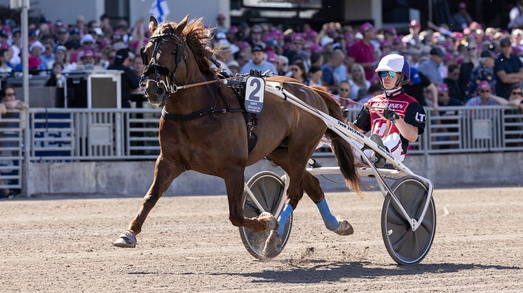 EVARTTI heat 3.jpg