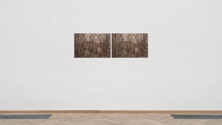 Simon Persson, Not titled (landscape), [2023] 2011