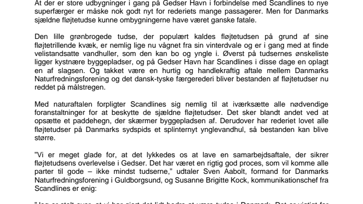 Scandlines giver de danske tudser noget at fløjte af - Fløjtetudsen reddet på målstregen: Padderne triller videre i Gedser