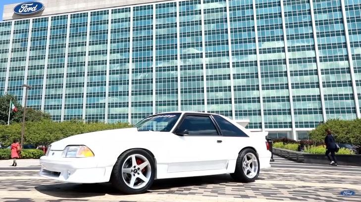 Mustangen der vendte hjem igen