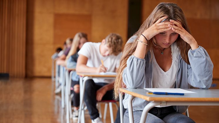 Sveriges Elevkårers utbildning för elevskyddsombud går bland annat igenom varför det är viktigt med ett fungerande arbetsmiljöarbete på skolan, vad fysisk och psykosocial arbetsmiljö innebär och vad lagen säger kring arbetsmiljö i skolan.