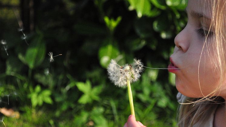 Hur kan en försäkring vara bättre för miljön än en annan?