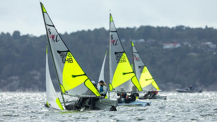 JSM-23-919