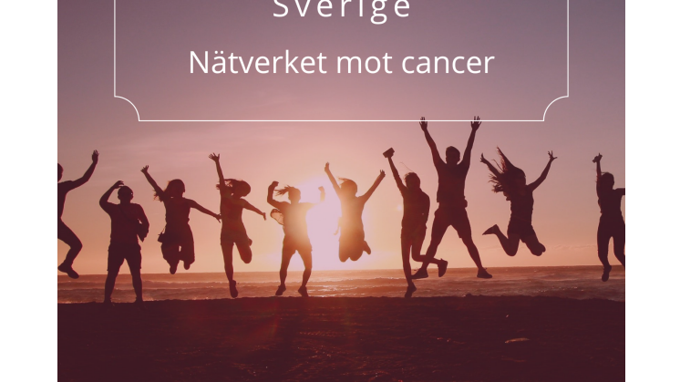 230404_FInal_Rapport_Kartläggning Cancerrehabilitering_Nätverket mot cancer.pdf