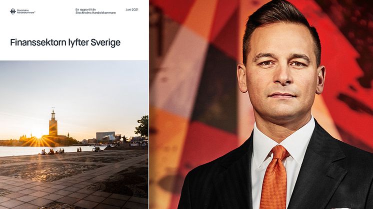 Rapporten i sin helhet bifogas som PDF.