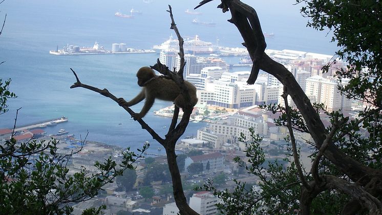 Gibraltar