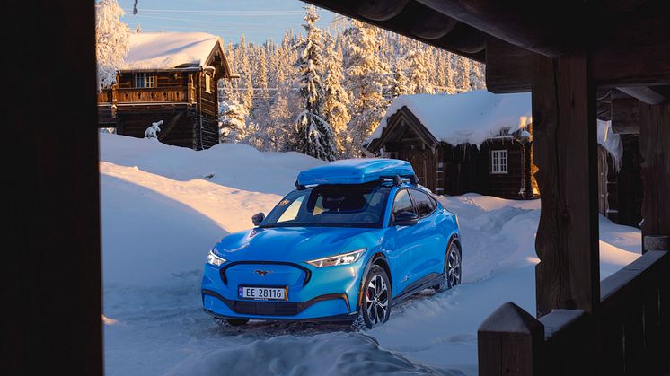 Ford Mustang Mach-E Vinter 2022