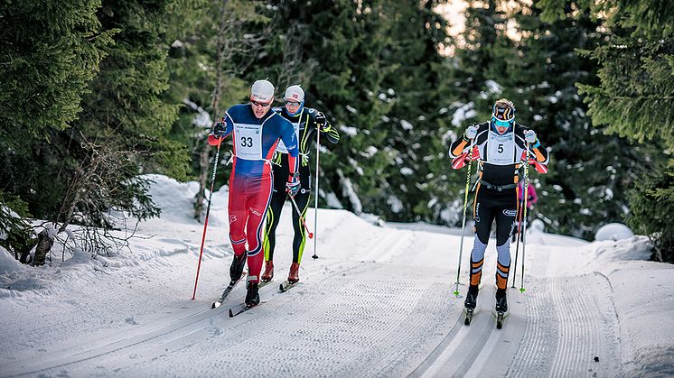 Flere toppløpere er klare for årets Trysil Skimaraton. Foto: Hans Martin Nysæter