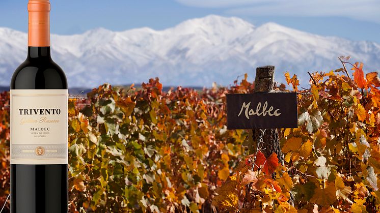 Trivento Golden Reserve Malbec fra Ljuan de Cuyo i Mendoza, ved Andesfjellene.