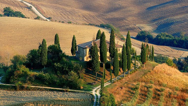 Neues alltours Webinar informiert über Italien und Center Parcs