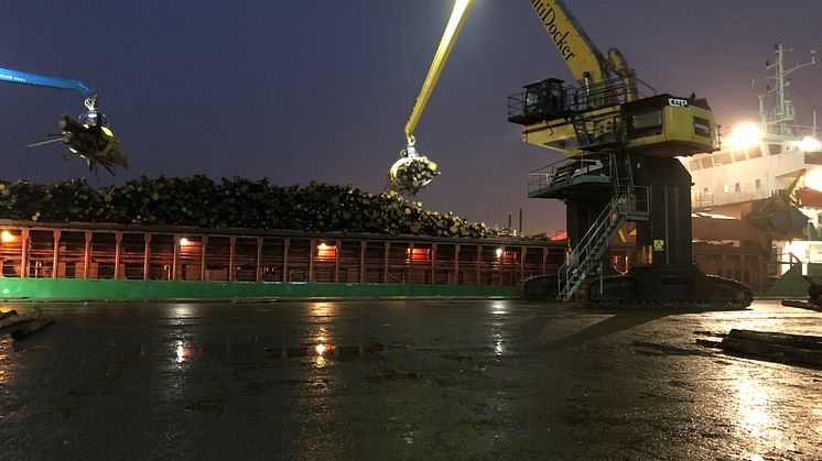 Timber unloading in Swede Harbour