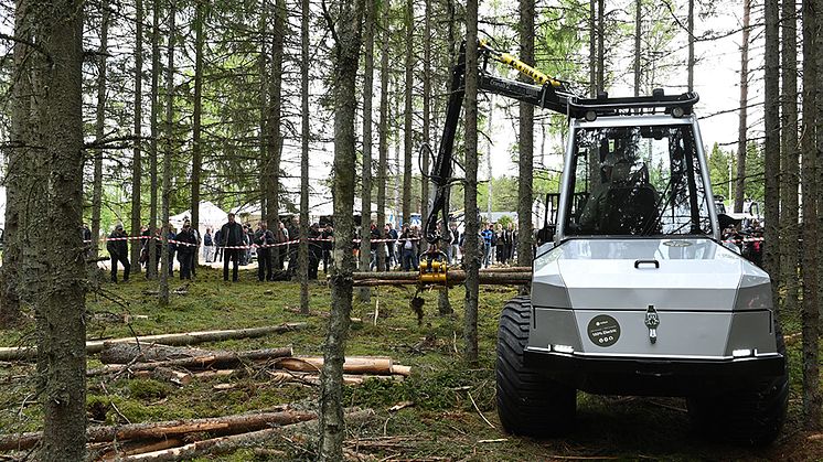 Skogen i Bratteborg är klassisk mark för Elmias skogsmässor och har mycket goda förutsättningar för ett nytt skogsevent.