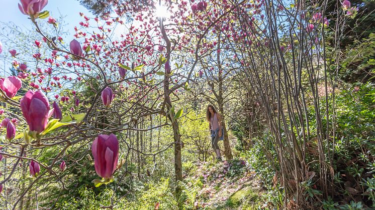 Parco botanico Vairano e Yoga