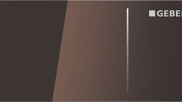 Geberit spolplatta Omega70 - umbra glas