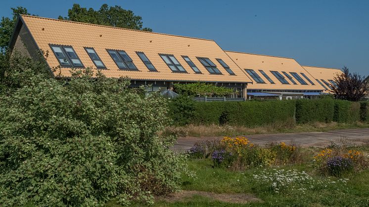 Byggeri med succes