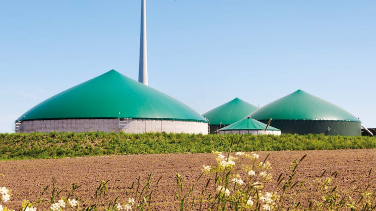 Biogasproduktions konsekvenser for drishusgasudledning i landbruget