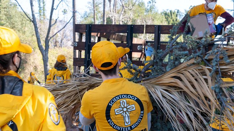 LA Fire debris-into-truck.jpg