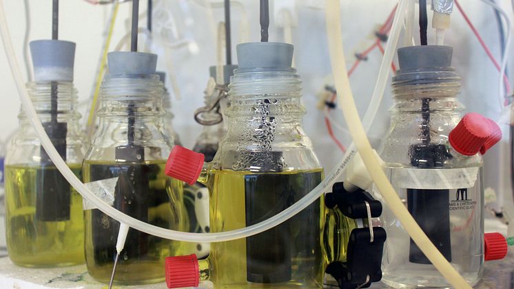 Koldioxid blir myrsyra med hjälp av electricitet och bakterier