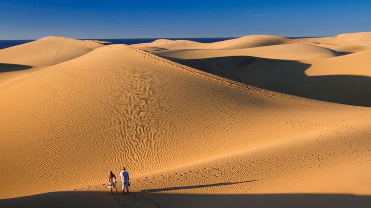 Prova på sandboarding på Maspalomas storslagna sanddyner under årets vintersemester. Foto: Canary Islands Tourism.