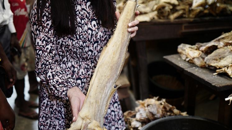 Mia Gylseth insiserer norsk tørrfisk på marked i Nigeria