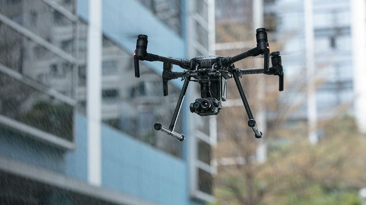 Flying in the Rain 1