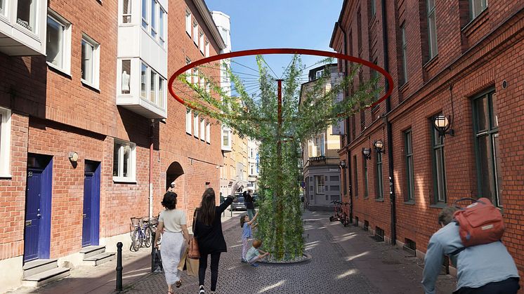 Arbory