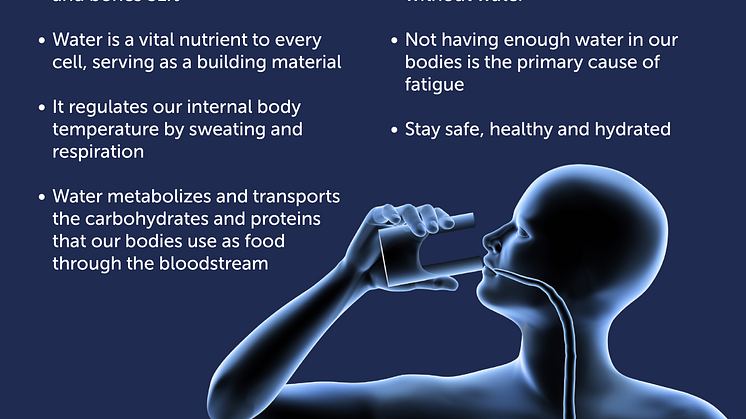Bluewater underlines the importance of staying properly hydrated when suffering a fever