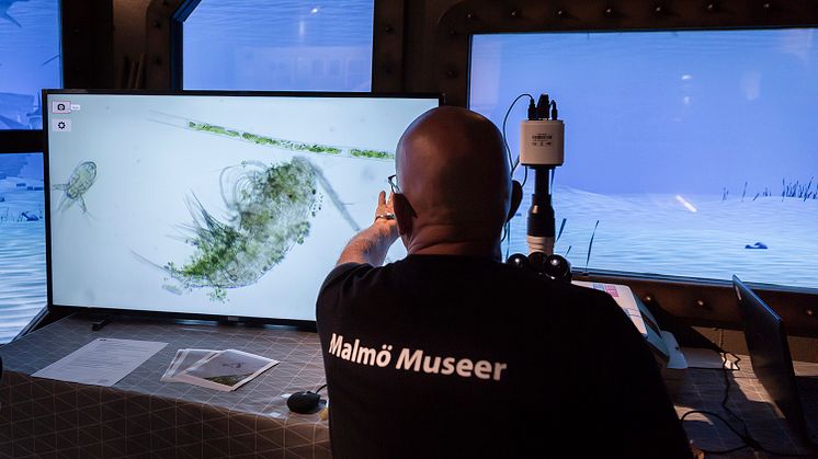 © Jenny Eliasson/Malmö Museer