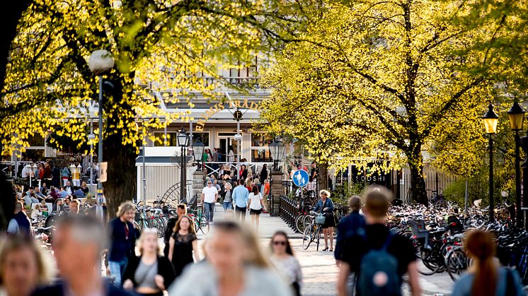 Ny fördjupad undersökning om följsamhet under pandemin