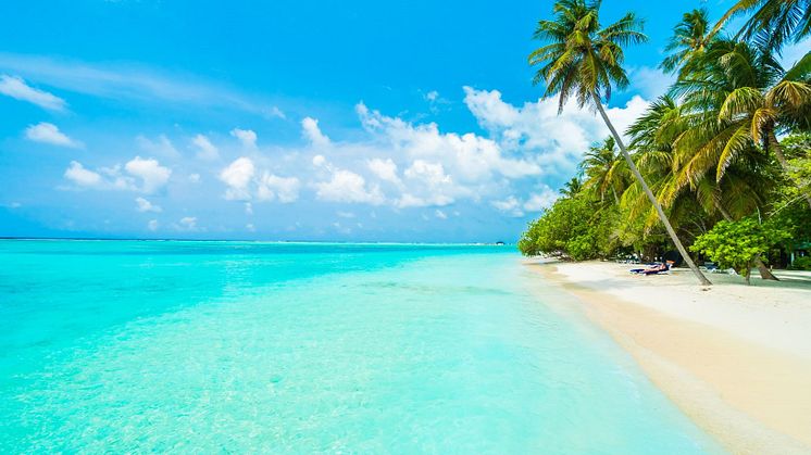 Maldives 2 ECC