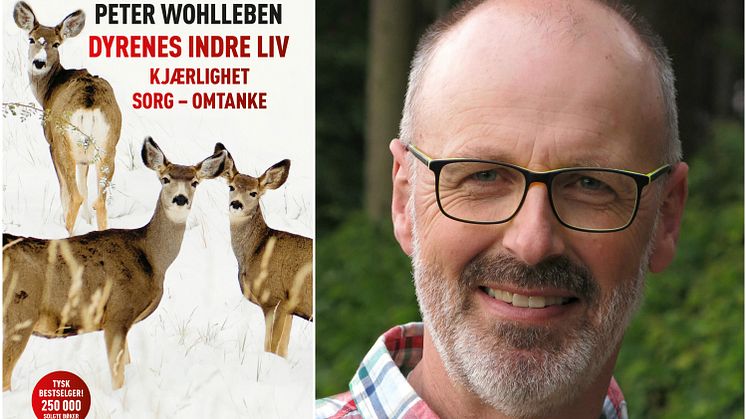 Peter Wohllebens nye bok, Dyrenes indre liv, gir et fascinerende innblikk i følelseslivet til dyr.