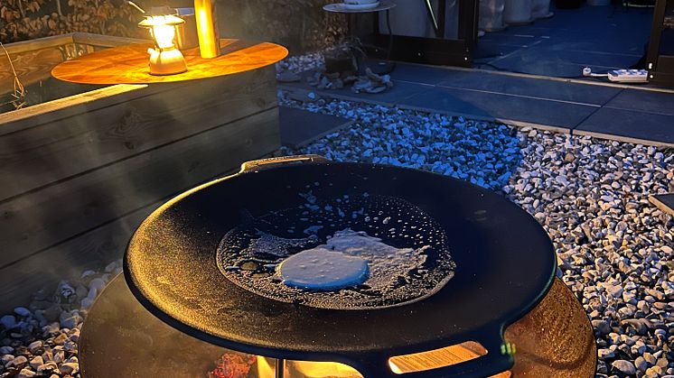Muurikka_hob 2