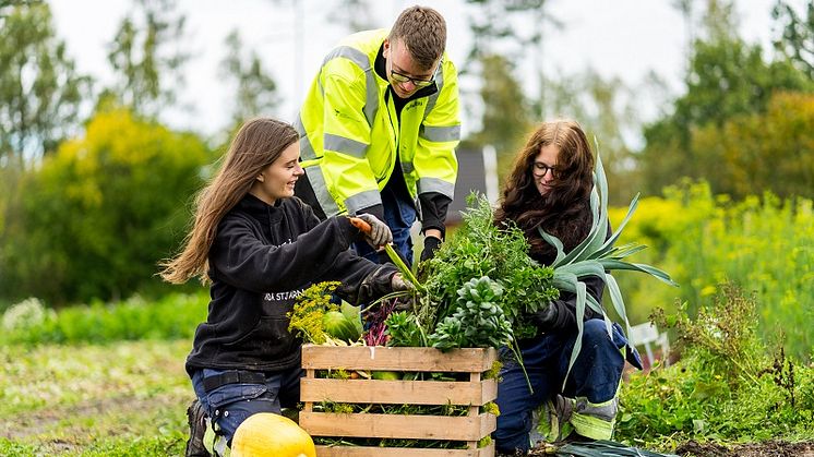 Elever på Naturbruksskolan Sötåsen i Töreboda. Foto: Richard Cederfjärd 