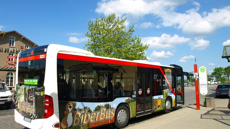 Der BiberBus der Uckermärkischen Verkehrsgesellschaft verbindet täglich auf zwei Routen touristische Highlights rund um Angermünde (Foto: Tourismusverein Angermünde)