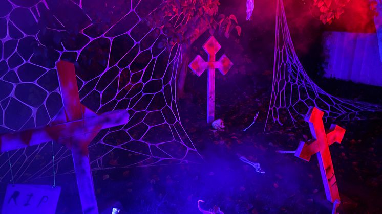 Halloween slår rekord: Usædvanligt stor på kort tid