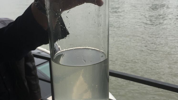 Tasting the water