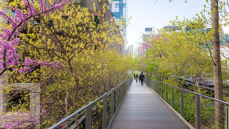 DEST_USA_NEW_YORK_HIGH_LINE_GettyImages-1395722302_Universal_Within usage period_86834