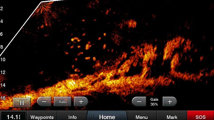 Garmin Panoptix LiveScope™