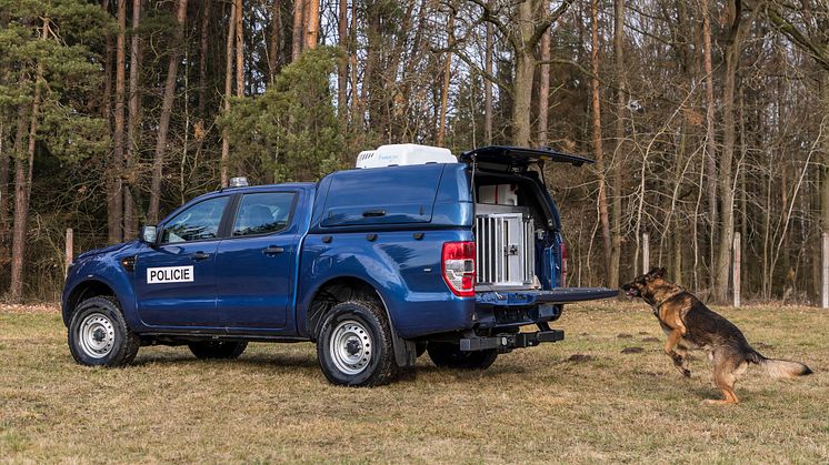 male Ford Ranger vs Ranger_30
