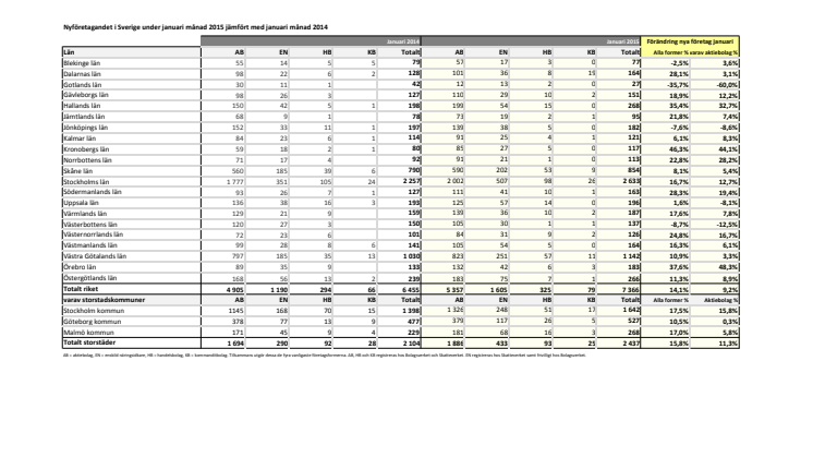Vismas rapport för nyföretagandet (januari 2015)