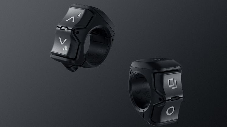 Dual Wireless Controller.jpg