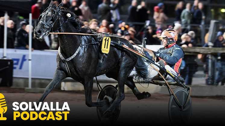 Milliondollarrhyme vinner Svenskt Mästerskap på Åbytravet. Foto: TR Bild