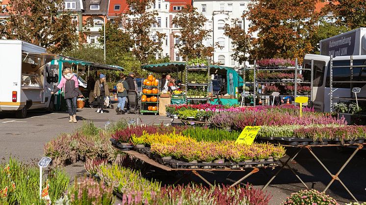 Blücherplatz_-_Wochenmarkt