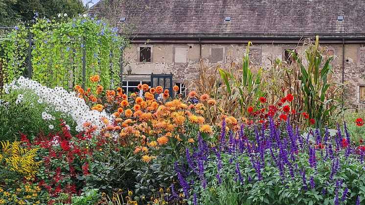 Remtergarten.jpg