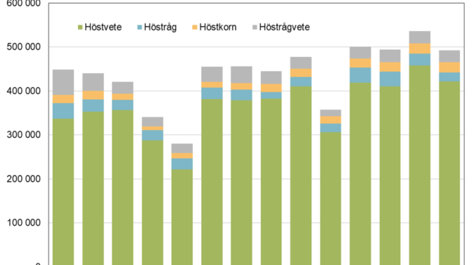 Höstsådda arealer av spannmål 2008–2021